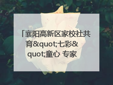 襄阳高新区家校社共育"七彩"童心 专家团支招智慧育儿