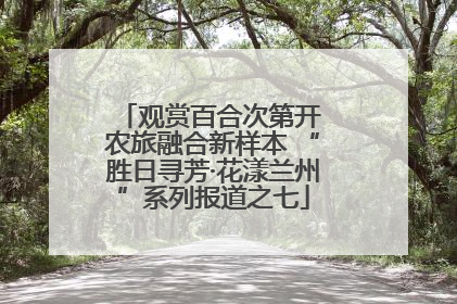 观赏百合次第开 农旅融合新样本 “胜日寻芳·花漾兰州”系列报道之七