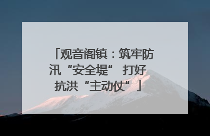 观音阁镇：筑牢防汛“安全堤” 打好抗洪“主动仗”