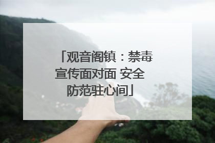 观音阁镇：禁毒宣传面对面 安全防范驻心间