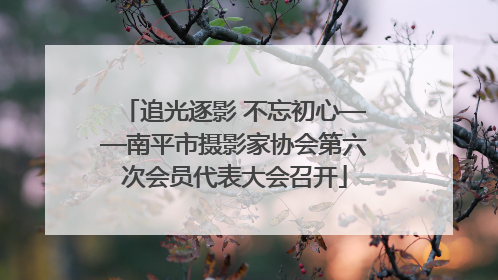 追光逐影 不忘初心——南平市摄影家协会第六次会员代表大会召开