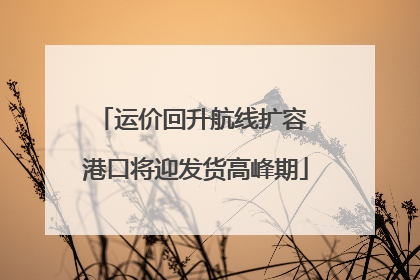 运价回升航线扩容 港口将迎发货高峰期