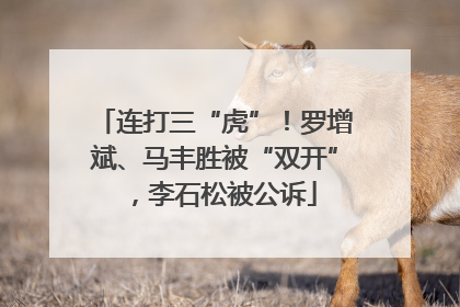 连打三“虎”！罗增斌、马丰胜被“双开”，李石松被公诉