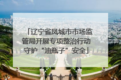 辽宁省凤城市市场监管局开展专项整治行动守护“油瓶子”安全