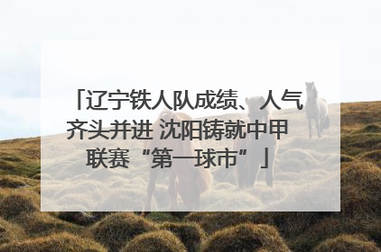 辽宁铁人队成绩、人气齐头并进 沈阳铸就中甲联赛“第一球市”