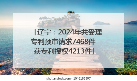 辽宁：2024年共受理专利预审请求7468件 获专利授权4213件