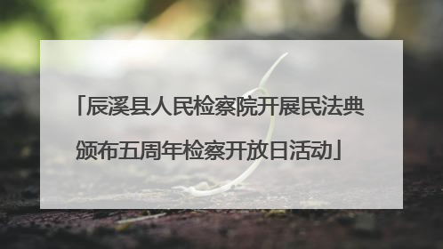 辰溪县人民检察院开展民法典颁布五周年检察开放日活动