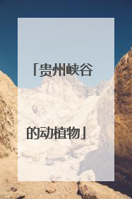 贵州峡谷的动植物