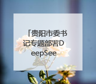 贵阳市委书记专题部署DeepSeek应用