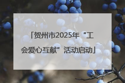 贺州市2025年“工会爱心互献”活动启动