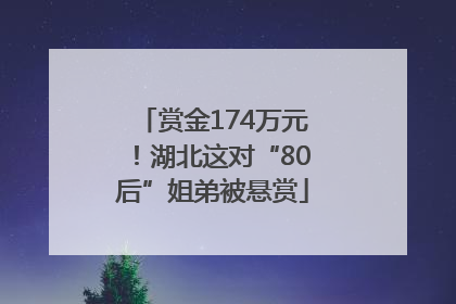 赏金174万元！湖北这对“80后”姐弟被悬赏