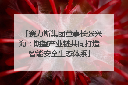 赛力斯集团董事长张兴海：期望产业链共同打造智能安全生态体系