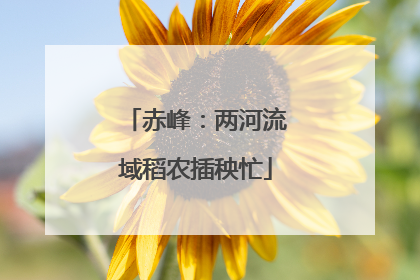 赤峰：两河流域稻农插秧忙