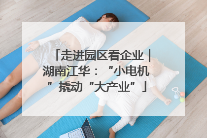 走进园区看企业｜湖南江华：“小电机”撬动“大产业”