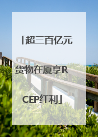 超三百亿元货物在厦享RCEP红利