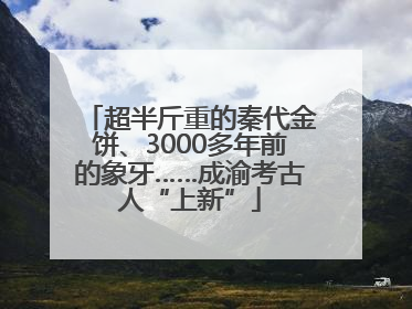超半斤重的秦代金饼、3000多年前的象牙……成渝考古人“上新”