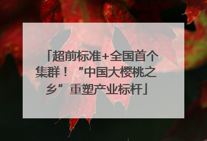 超前标准+全国首个集群！“中国大樱桃之乡”重塑产业标杆