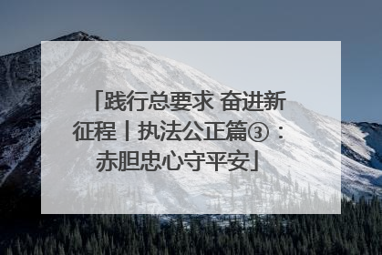 践行总要求 奋进新征程丨执法公正篇③：赤胆忠心守平安