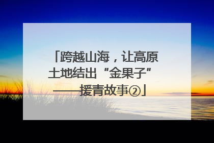 跨越山海，让高原土地结出“金果子”——援青故事②