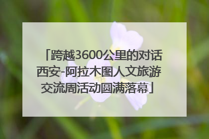 跨越3600公里的对话 西安-阿拉木图人文旅游交流周活动圆满落幕