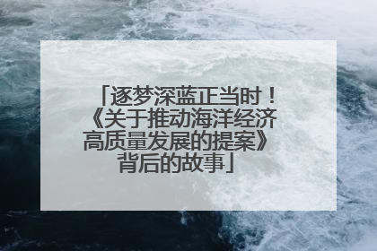 逐梦深蓝正当时！《关于推动海洋经济高质量发展的提案》背后的故事