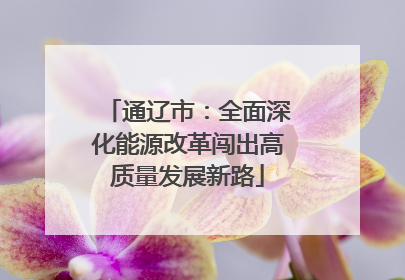 通辽市：全面深化能源改革闯出高质量发展新路