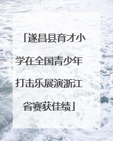 遂昌县育才小学在全国青少年打击乐展演浙江省赛获佳绩