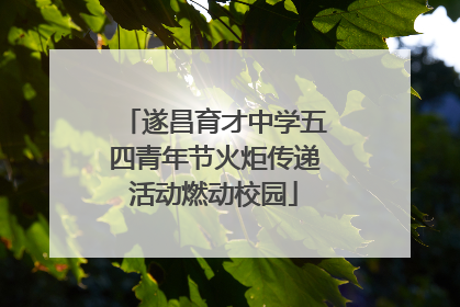 遂昌育才中学五四青年节火炬传递活动燃动校园