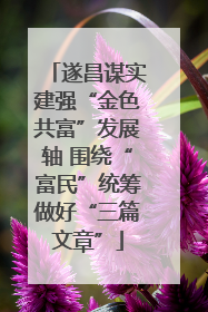 遂昌谋实建强“金色共富”发展轴 围绕“富民”统筹做好“三篇文章”