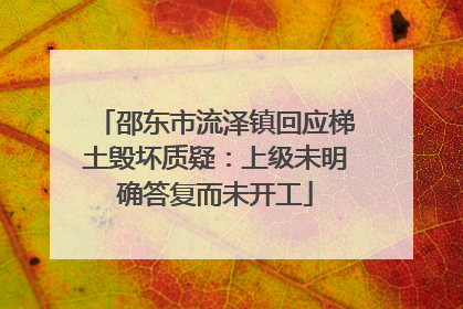邵东市流泽镇回应梯土毁坏质疑：上级未明确答复而未开工