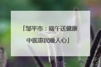 邹平市：端午送健康 中医惠民暖人心