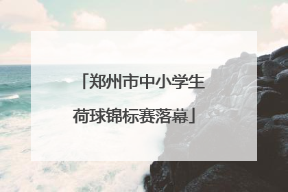 郑州市中小学生荷球锦标赛落幕