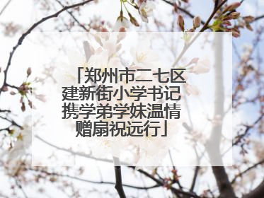 郑州市二七区建新街小学书记携学弟学妹温情赠扇祝远行