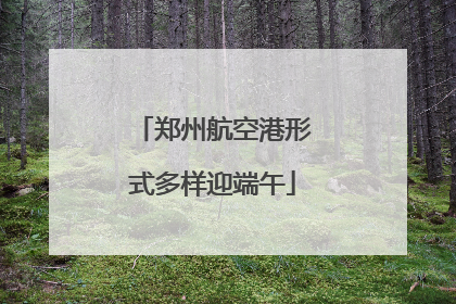 郑州航空港形式多样迎端午