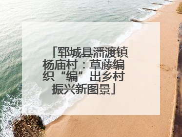郓城县潘渡镇杨庙村：草藤编织“编”出乡村振兴新图景