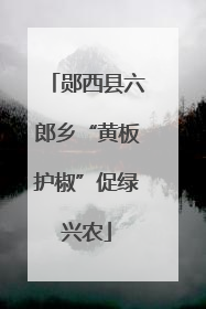 郧西县六郎乡“黄板护椒”促绿兴农