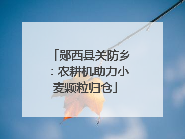 郧西县关防乡：农耕机助力小麦颗粒归仓