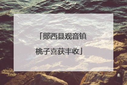 郧西县观音镇桃子喜获丰收