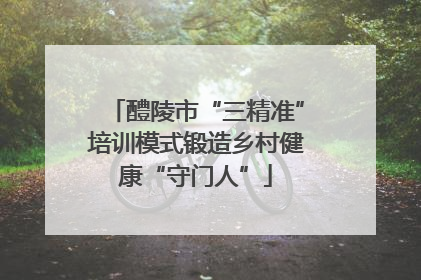 醴陵市“三精准”培训模式锻造乡村健康“守门人”