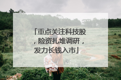 重点关注科技股，险资扎堆调研，发力长钱入市