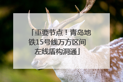 重要节点！青岛地铁15号线万方区间左线盾构洞通