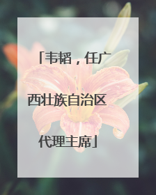 韦韬，任广西壮族自治区代理主席