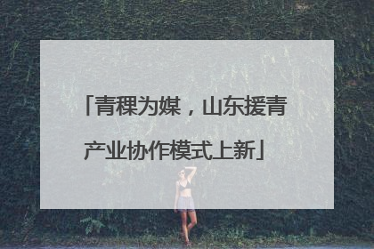 青稞为媒，山东援青产业协作模式上新
