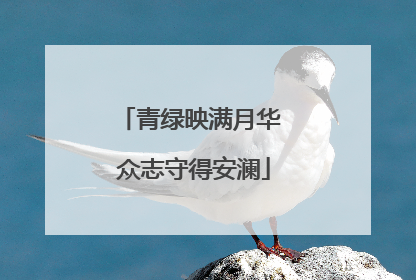 青绿映满月华 众志守得安澜