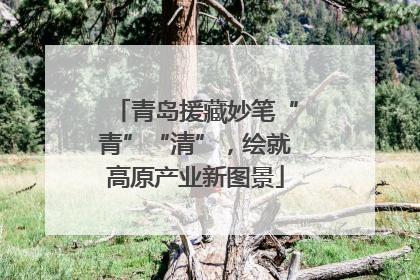青岛援藏妙笔“青”“清”，绘就高原产业新图景