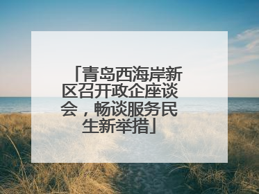 青岛西海岸新区召开政企座谈会，畅谈服务民生新举措
