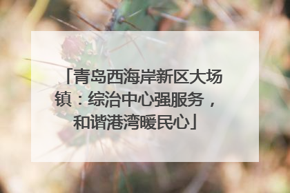 青岛西海岸新区大场镇：综治中心强服务，和谐港湾暖民心