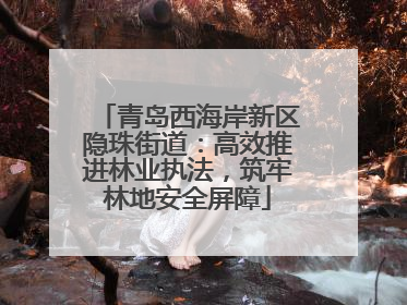 青岛西海岸新区隐珠街道：高效推进林业执法，筑牢林地安全屏障