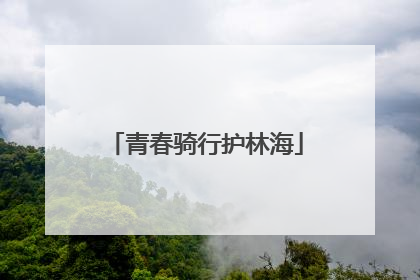 青春骑行护林海