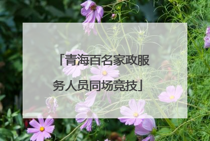 青海百名家政服务人员同场竞技